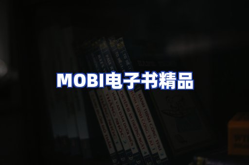 外文电子书产品